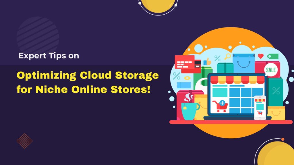 Optimizing Cloud Storage for Niche Online Stores